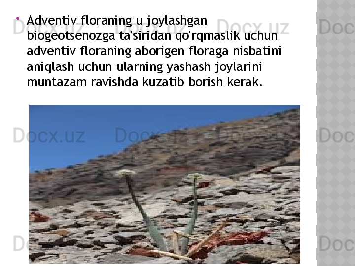 
Adventiv floraning u joylashgan 
biogeotsenozga ta'siridan qo'rqmaslik uchun 
adventiv floraning aborigen floraga nisbatini 
aniqlash uchun ularning yashash joylarini 
muntazam ravishda kuzatib borish kerak.  