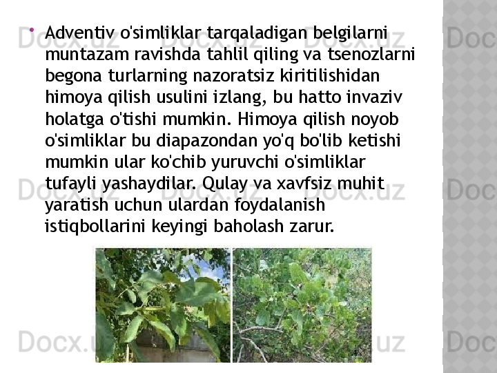 
Adventiv o'simliklar tarqaladigan belgilarni 
muntazam ravishda tahlil qiling va tsenozlarni 
begona turlarning nazoratsiz kiritilishidan 
himoya qilish usulini izlang, bu hatto invaziv 
holatga o'tishi mumkin. Himoya qilish noyob 
o'simliklar bu diapazondan yo'q bo'lib ketishi 
mumkin ular ko'chib yuruvchi o'simliklar 
tufayli yashaydilar. Qulay va xavfsiz muhit 
yaratish uchun ulardan foydalanish 
istiqbollarini keyingi baholash zarur.  