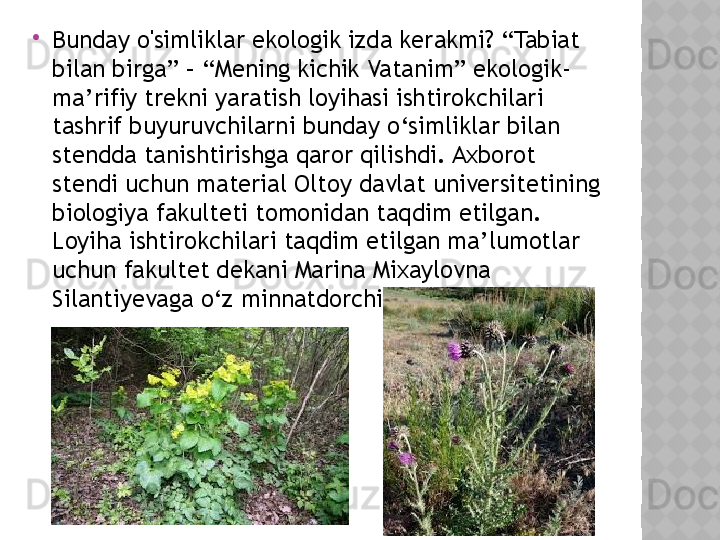 
Bunday o'simliklar ekologik izda kerakmi? “Tabiat 
bilan birga” – “Mening kichik Vatanim” ekologik-
ma’rifiy trekni yaratish loyihasi ishtirokchilari 
tashrif buyuruvchilarni bunday o‘simliklar bilan 
stendda tanishtirishga qaror qilishdi. Axborot 
stendi uchun material Oltoy davlat universitetining 
biologiya fakulteti tomonidan taqdim etilgan. 
Loyiha ishtirokchilari taqdim etilgan ma’lumotlar 
uchun fakultet dekani Marina Mixaylovna 
Silantiyevaga o‘z minnatdorchiliklarini bildiradilar.  