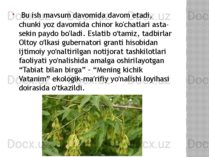 
  Bu ish mavsum davomida davom etadi, 
chunki yoz davomida chinor ko'chatlari asta-
sekin paydo bo'ladi. Eslatib o tamiz, tadbirlar ʻ
Oltoy o lkasi gubernatori granti hisobidan 	
ʻ
ijtimoiy yo naltirilgan notijorat tashkilotlari 	
ʻ
faoliyati yo nalishida amalga oshirilayotgan 
ʻ
“Tabiat bilan birga” – “Mening kichik 
Vatanim” ekologik-ma rifiy yo nalishi loyihasi 	
ʼ ʻ
doirasida o tkazildi.	
ʻ  