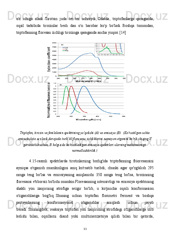 o'z   ichiga   oladi.   Tirotsin   juda   tez-tez   uchraydi;   Odatda,   triptofanlarga   qaraganda,
oqsil   tarkibida   tirozinlar   besh   dan   o'n   barobar   ko'p   bo'ladi.   Boshqa   tomondan,
triptofanning floresan zichligi tirozinga qaraganda ancha yuqori. [14]
Triptofan, tirozin va fenilalanin spektrining yo'qolishi (A) va emissiya (B).   (Ko'rsatilgan uchta
aminokislota sezilarli darajada turli xil floresans zichliklarini namoyon etganini ko'rib chiqing.V
görünürlük uchun, B belgisida ko'rsatiladigan emissiya spektrlari ularning maksimumiga
normallashtirildi.)
            4.15-rasmli   spektrlarda   tirotinlarning   borlig'ida   triptofanning   flüoresansini
ayniqsa   o'rganish   mumkinligini   aniq   ko'rsatib   turibdi,   chunki   agar   qo'zg'alish   295
nmga   teng   bo'lsa   va   emissiyaning   aniqlanishi   350   nmga   teng   bo'lsa,   tirozinning
floresansi e'tiborsiz bo'lishi mumkin Floresanning intensivligi va emissiya spektrining
shakli   yon   zanjirning   atrofiga   sezgir   bo'lib,   u   ko'pincha   oqsili   konformasion
o'zgarishlariga   bog'liq.   Shuning   uchun   triptofan   florimetri   ferment   va   boshqa
proteynlarning   konformasyonel   o'zgarishlar   aniqlash   uchun   javob
beradi.   Shuningdek,   reaksiya   triptofan   yon   zanjirining   atrofidagi   o'zgarishlarga   olib
kelishi   bilan,   oqsillarni   diand   yoki   multimerizatsiya   qilish   bilan   bir   qatorda,
11 