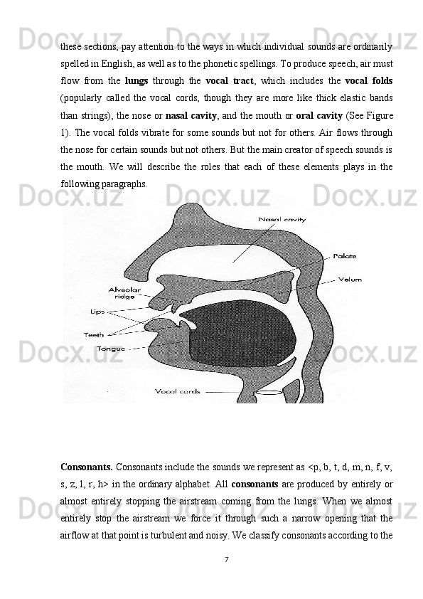 these sections, pay attention to the ways in which individual sounds are ordinarily
spelled in English, as well as to the phonetic spellings. To produce speech, air must
flow   from   the   lungs   through   the   vocal   tract ,   which   includes   the   vocal   folds
(popularly   called   the   vocal   cords,   though   they   are   more   like   thick   elastic   bands
than strings), the nose or   nasal  cav ity , and the mouth or   oral cavity   (See Figure
1). The vocal folds vibrate for some sounds but not for others. Air flows through
the nose for certain sounds but not others. But the main creator of speech sounds is
the   mouth.   We   will   describe   the   roles   that   each   of   these   elements   plays   in   the
following paragraphs.
 
Consonants.  Consonants include the sounds we represent as <p, b, t, d, m, n, f, v,
s, z, l, r, h> in the ordinary alphabet. All   consonants   are produced by entirely or
almost   entirely   stopping   the   airstream   coming   from   the   lungs.   When   we   almost
entirely   stop   the   airstream   we   force   it   through   such   a   narrow   opening   that   the
airflow at that point is turbulent and noisy. We classify consonants according to the
7 