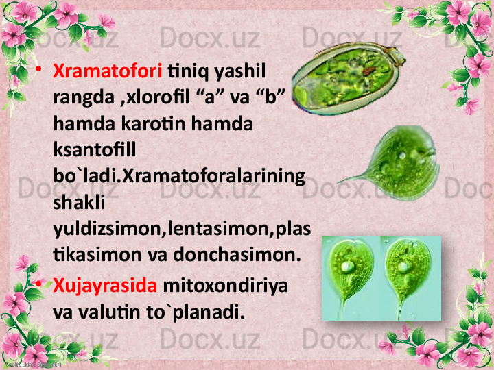 FokinaLida.75@mail.ru •
Xramatofori  tiniq yashil 
rangda ,xlorofil “a” va “b” 
hamda karotin hamda 
ksantofill 
bo`ladi.Xramatoforalarining 
shakli 
yuldizsimon,lentasimon,plas
tikasimon va donchasimon.
•
Xujayrasida  mitoxondiriya 
va valutin to`planadi.