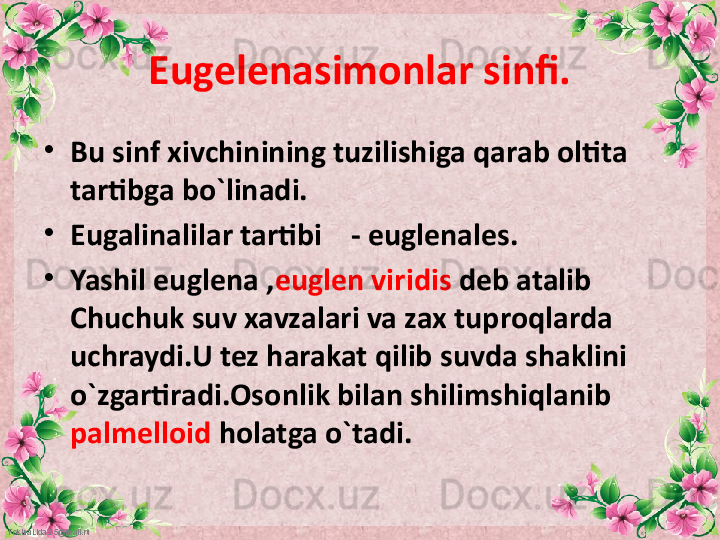 FokinaLida.75@mail.ru Eugelenasimonlar sinfi.
•
Bu sinf xivchinining tuzilishiga qarab oltita 
tartibga bo`linadi.
•
Eugalinalilar tartibi    - euglenales.
•
Yashil euglena , euglen viridis  deb atalib 
Chuchuk suv xavzalari va zax tuproqlarda 
uchraydi.U tez harakat qilib suvda shaklini 
o`zgartiradi.Osonlik bilan shilimshiqlanib 
palmelloid  holatga o`tadi. 