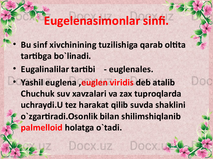 FokinaLida.75@mail.ru Eugelenasimonlar sinfi.
•
Bu sinf xivchinining tuzilishiga qarab oltita 
tartibga bo`linadi.
•
Eugalinalilar tartibi    - euglenales.
•
Yashil euglena , euglen viridis  deb atalib 
Chuchuk suv xavzalari va zax tuproqlarda 
uchraydi.U tez harakat qilib suvda shaklini 
o`zgartiradi.Osonlik bilan shilimshiqlanib 
palmelloid  holatga o`tadi.