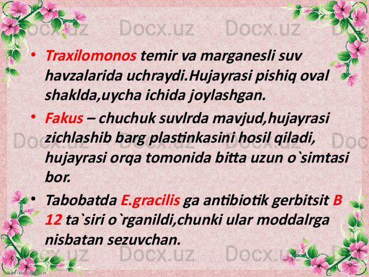 FokinaLida.75@mail.ru •Traxilomonos	 temir va marganesli suv 	
havzalarida uchraydi.Hujayrasi pishiq oval 
shaklda,uycha ichida joylashgan.
•
Fakus	 – chuchuk suvlrda mavjud,hujayrasi 	
zichlashib barg plastinkasini hosil qiladi, 
hujayrasi orqa tomonida bitta uzun o`simtasi 
bor.
•
Tabobatda	 E.gracilis	 ga antibiotik gerbitsit	 B 	
12 	ta`siri o`rganildi,chunki ular moddalrga 	
nisbatan sezuvchan. 