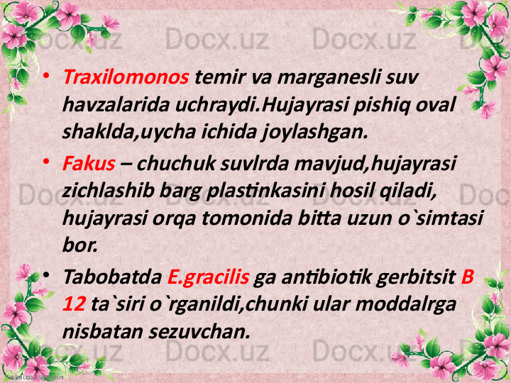 FokinaLida.75@mail.ru •Traxilomonos	 temir va marganesli suv 	
havzalarida uchraydi.Hujayrasi pishiq oval 
shaklda,uycha ichida joylashgan.
•
Fakus	 – chuchuk suvlrda mavjud,hujayrasi 	
zichlashib barg plastinkasini hosil qiladi, 
hujayrasi orqa tomonida bitta uzun o`simtasi 
bor.
•
Tabobatda	 E.gracilis	 ga antibiotik gerbitsit	 B 	
12 	ta`siri o`rganildi,chunki ular moddalrga 	
nisbatan sezuvchan.