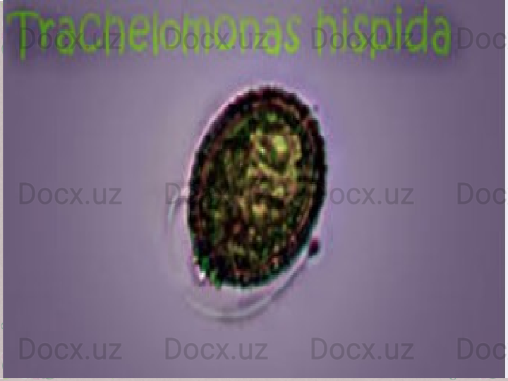 FokinaLida.75@mail.ru