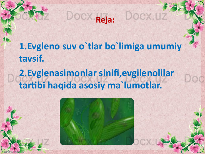 FokinaLida.75@mail.ru Reja:
1.Evgleno suv o`tlar bo`limiga umumiy 
tavsif.
2.Evglenasimonlar sinifi,evgilenolilar 
tartibi haqida asosiy ma`lumotlar. 