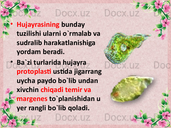 FokinaLida.75@mail.ru •
Hujayrasining  bunday 
tuzilishi ularni o`rmalab va 
sudralib harakatlanishiga 
yordam beradi.
•
Ba`zi turlarida hujayra 
protoplasti  ustida jigarrang 
uycha paydo bo`lib undan 
xivchin  chiqadi temir va 
margenes  to`planishidan u 
yer rangli bo`lib qoladi.   