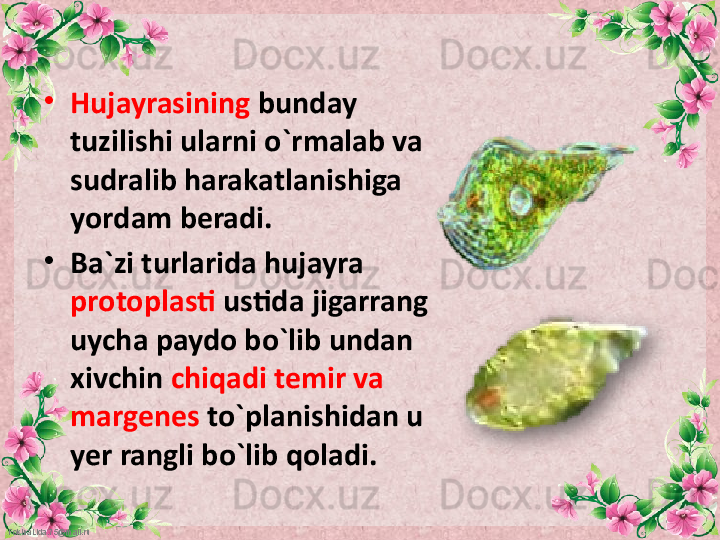 FokinaLida.75@mail.ru •
Hujayrasining  bunday 
tuzilishi ularni o`rmalab va 
sudralib harakatlanishiga 
yordam beradi.
•
Ba`zi turlarida hujayra 
protoplasti  ustida jigarrang 
uycha paydo bo`lib undan 
xivchin  chiqadi temir va 
margenes  to`planishidan u 
yer rangli bo`lib qoladi.
