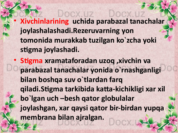 FokinaLida.75@mail.ru •
Xivchinlarining   uchida parabazal tanachalar 
joylashalashadi.Rezeruvarning yon 
tomonida murakkab tuzilgan ko`zcha yoki 
stigma joylashadi.
•
Stigma  xramataforadan uzoq ,xivchin va 
parabazal tanachalar yonida o`rnashganligi 
bilan boshqa suv o`tlardan farq 
qiladi.Stigma tarkibida katta-kichikligi xar xil 
bo`lgan uch –besh qator globulalar 
joylashgan, xar qaysi qator bir-birdan yupqa 
membrana bilan ajralgan. 