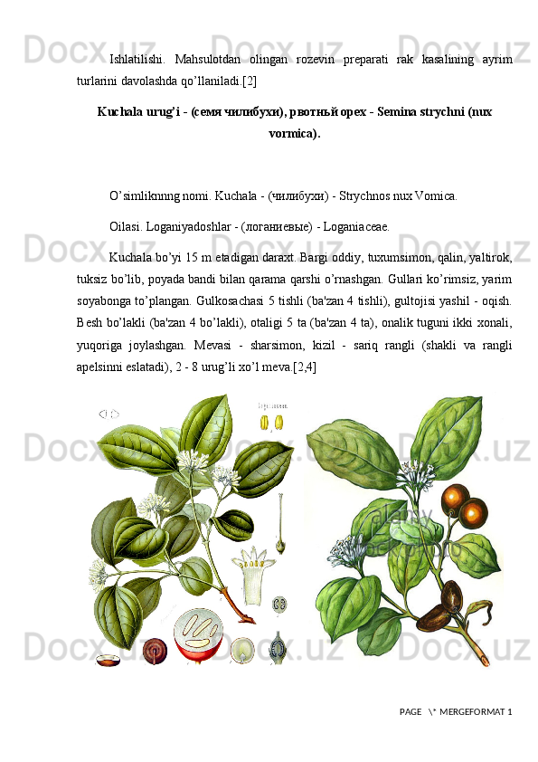 Ishlatilishi.   Mahsulotdan   olingan   roz е vin   pr е parati   rak   kasalining   ayrim
turlarini davolashda qo’llaniladi. [2]
Kuch a la urug’i -  (семя чилибухи), рвотньй орех  - Semina strychni (nux
vormica).
O’simliknnng nomi. Kuchala -  (чилибухи)  - Strychnos nux Vomica.
Oilasi. Loganiyadoshlar -  (логаниевые)  - Loganiaceae.
Kuchala bo’yi 15 m  е tadigan daraxt. Bargi oddiy, tuxumsimon, qalin, yaltirok,
tuksiz bo’lib, poyada bandi bilan qarama qarshi o’rnashgan. Gullari ko’rimsiz, yarim
soyabonga to’plangan. Gulkosachasi 5 tishli (ba'zan 4 tishli), gultojisi yashil - oqish.
B е sh bo’lakli (ba'zan 4 bo’lakli), otaligi 5 ta (ba'zan 4 ta), onalik tuguni ikki xonali,
yuqoriga   joylashgan.   M е vasi   -   sharsimon,   kizil   -   sariq   rangli   (shakli   va   rangli
ap е lsinni eslatadi), 2 - 8 urug’li xo’l m е va. [2,4]
 PAGE   \* MERGEFORMAT 1 