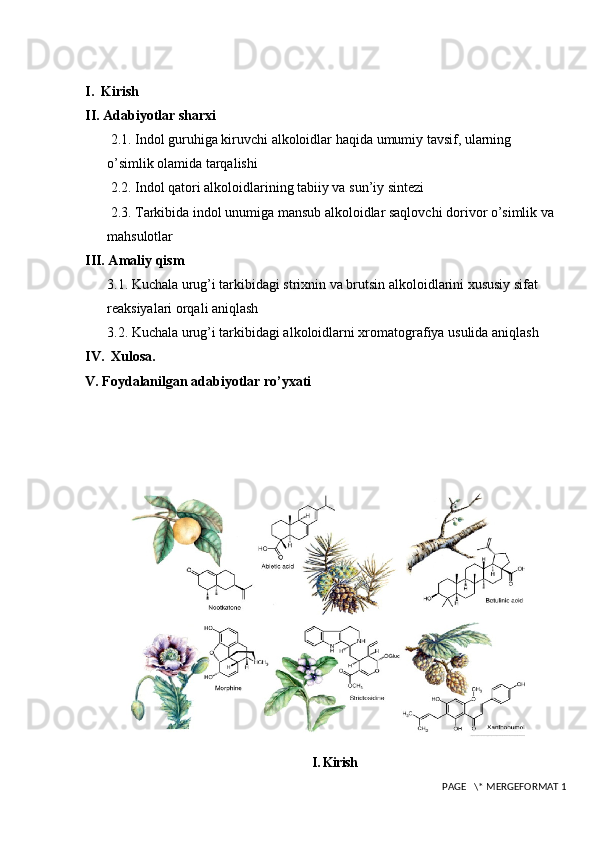 I .   Kirish
II .  Adabiyotlar   sharxi
  2.1.  Indol   guruhiga   kiruvchi   alkoloidlar   haqida   umumiy   tavsif ,  ularning                
o ’ simlik   olamida   tarqalishi
  2.2. Indol qatori alkoloidlarining tabiiy va sun’iy sintezi
 2.3. Tarkibida indol unumiga mansub alkoloidlar saqlovchi dorivor o’simlik va 
mahsulotlar
III. Amaliy qism
3.1. Kuchala urug’i tarkibidagi strixnin va brutsin alkoloidlarini xususiy sifat 
reaksiyalari orqali aniqlash
3.2. Kuchala urug’i tarkibidagi alkoloidlarni xromatografiya usulida aniqlash
IV.  Xulosa.
V. Foydalanilgan adabiyotlar ro’yxati
I.  Kirish
 PAGE   \* MERGEFORMAT 1 