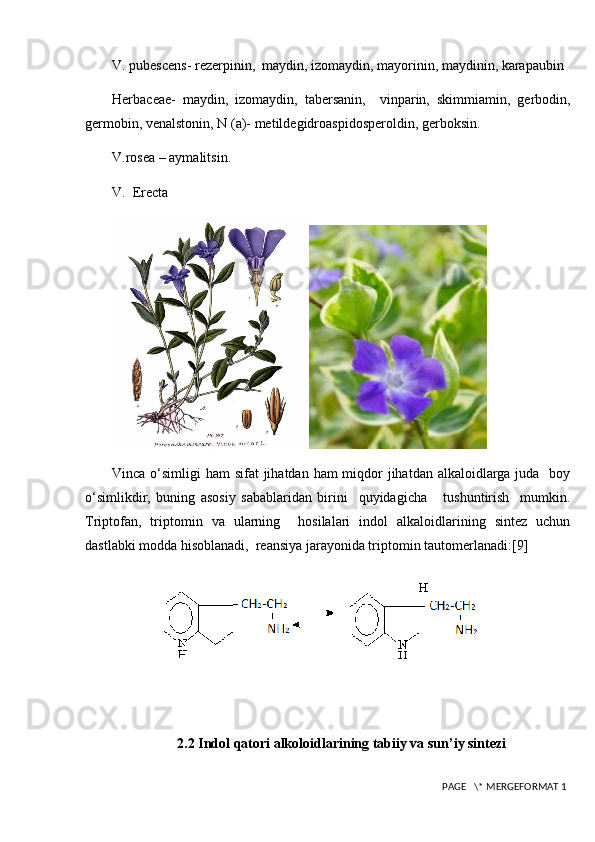 V. pubescens- rezerpinin,  maydin, izomaydin, mayorinin, maydinin, karapaubin
Herbaceae-   maydin,   izomaydin,   tabersanin,     vinparin,   skimmiamin,   gerbodin,
germobin, venalstonin, N (a)- metildegidroaspidosperoldin, gerboksin.
V.rosea – aymalitsin.
V.  Erec ta
Vinca o‘simligi  ham sifat  jihatdan ham miqdor jihatdan alkaloidlarga juda   boy
o‘simlikdir,   buning   asosiy   sabablaridan   birini     quyidagicha       tushuntirish     mumkin.
Triptofan,   triptomin   va   ularning     hosilalari   indol   alkaloidlarining   sintez   uchun
dastlabki modda hisoblanadi,  reansiya jarayonida triptomin tautomerlanadi: [9]
             
2 .2 Indol qatori alkoloidlarining tabiiy va sun ’ iy sintezi
 PAGE   \* MERGEFORMAT 1 