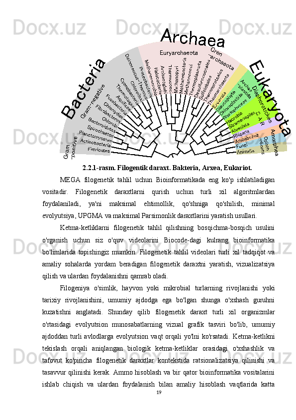 2.2.1-rasm. Filogentik daraxt. Bakteria, Arxea, Eukariot.
MEGA   filogenetik   tahlil   uchun   Bioinformatikada   eng   ko'p   ishlatiladigan
vositadir.   Filogenetik   daraxtlarni   qurish   uchun   turli   xil   algoritmlardan
foydalaniladi,   ya'ni   maksimal   ehtimollik,   qo'shniga   qo'shilish,   minimal
evolyutsiya, UPGMA va maksimal Parsimonlik daraxtlarini yaratish usullari.
Ketma-ketliklarni   filogenetik   tahlil   qilishning   bosqichma-bosqich   usulini
o'rganish   uchun   siz   o'quv   videolarini   Biocode-dagi   kulrang   bioinformatika
bo'limlarida   topishingiz   mumkin.   Filogenetik   tahlil   videolari   turli   xil   tadqiqot   va
amaliy   sohalarda   yordam   beradigan   filogenetik   daraxtni   yaratish,   vizualizatsiya
qilish va ulardan foydalanishni qamrab oladi.
Filogeniya   o'simlik,   hayvon   yoki   mikrobial   turlarning   rivojlanishi   yoki
tarixiy   rivojlanishini,   umumiy   ajdodga   ega   bo'lgan   shunga   o'xshash   guruhni
kuzatishni   anglatadi.   Shunday   qilib   filogenetik   daraxt   turli   xil   organizmlar
o'rtasidagi   evolyutsion   munosabatlarning   vizual   grafik   tasviri   bo'lib,   umumiy
ajdoddan turli  avlodlarga evolyutsion vaqt orqali  yo'lni  ko'rsatadi. Ketma-ketlikni
tekislash   orqali   aniqlangan   biologik   ketma-ketliklar   orasidagi   o'xshashlik   va
tafovut   ko'pincha   filogenetik   daraxtlar   kontekstida   ratsionalizatsiya   qilinishi   va
tasavvur  qilinishi  kerak. Ammo hisoblash  va bir  qator  bioinformatika vositalarini
ishlab   chiqish   va   ulardan   foydalanish   bilan   amaliy   hisoblash   vaqtlarida   katta
19 