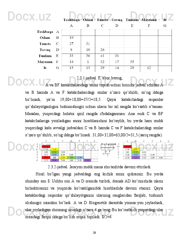 2.3.1-jadval. E’tibor bering,
         A va BF katakchalaridagi sonni topish uchun birinchi jadval ichidan A
va   B   hamda   A   va   F   katakchalaridagi   sonlar   o’zaro   qo’shilib,   so’ng   ikkiga
bo’linadi,   ya’ni   19,00+18,00=37/2=18,5.   Qaysi   katakchadagi   raqamlar
qo’shilayotganligini  tushunishingiz uchun ularni bir xil  rangda ko’rsatib o’taman.
Masalan,   yuqoridagi   holatni   qizil   rangda   ifodalaganman.   Ana   endi   C   va   BF
katakchalariga   yoziladigan   sonni   hisoblanishini   ko’raylik,   bu   yerda   ham   xuddi
yuqoridagi   kabi   avvalgi   jadvaldan   C   va   B  hamda   C   va   F  katakchalaridagi   sonlar
o’zaro qo’shilib, so’ng ikkiga bo’linadi: 31,00+32,00=63,00/2=31,5 (sariq rangda).
2.3.2-jadval. Jarayon xuddi mana shu taxlitda davom ettiriladi.
Hosil   bo’lgan   yangi   jadvaldagi   eng   kichik   sonni   qidiramiz.   Bu   yerda
shunday son 8. Ushbu son A va D orasida turibdi, demak AD ko’rinishida  ularni
birlashtiramiz   va   yuqorida   ko’rsatilganidek   hisoblashda   davom   etamiz.   Qaysi
kataklardagi   raqamlar   qo’shilayotganini   ularning   ranglaridan   farqlab,   tushunib
olishingiz   mumkin   bo’ladi.   A   va   D   filogenetik   daraxtda   yonma-yon   joylashadi,
ular joylashgan shoxning uzunligi o’zaro 4 ga teng. Bu ko’rsatkich yuqoridagi ular
orasidagi farqni ikkiga bo’lish orqali topiladi: 8/2=4.
28 
