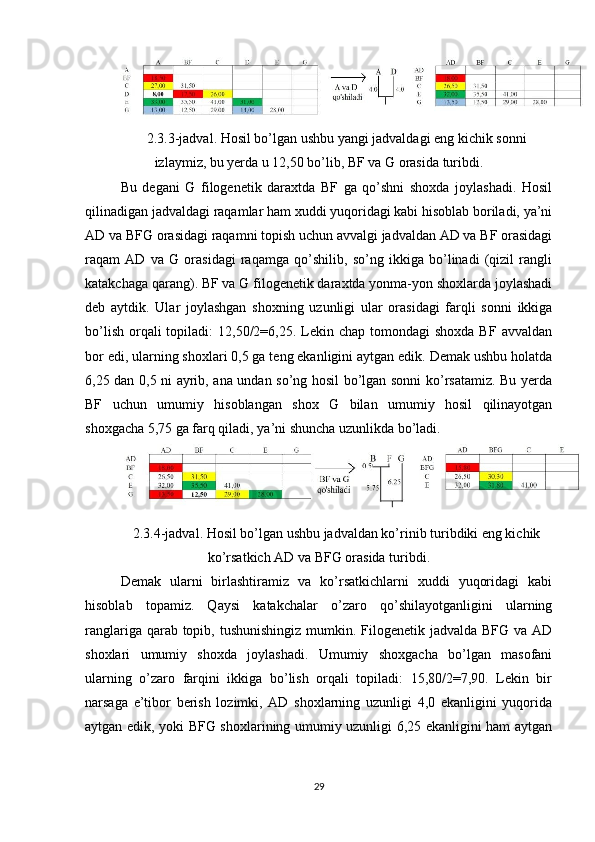 2.3.3-jadval. Hosil bo’lgan ushbu yangi jadvaldagi eng kichik sonni
izlaymiz, bu yerda u 12,50 bo’lib, BF va G orasida turibdi.
Bu   degani   G   filogenetik   daraxtda   BF   ga   qo’shni   shoxda   joylashadi.   Hosil
qilinadigan jadvaldagi raqamlar ham xuddi yuqoridagi kabi hisoblab boriladi, ya’ni
AD va BFG orasidagi raqamni topish uchun avvalgi jadvaldan AD va BF orasidagi
raqam   AD   va   G   orasidagi   raqamga   qo’shilib,   so’ng   ikkiga   bo’linadi   (qizil   rangli
katakchaga qarang). BF va G filogenetik daraxtda yonma-yon shoxlarda joylashadi
deb   aytdik.   Ular   joylashgan   shoxning   uzunligi   ular   orasidagi   farqli   sonni   ikkiga
bo’lish  orqali  topiladi:   12,50/2=6,25.  Lekin  chap  tomondagi  shoxda  BF  avvaldan
bor edi, ularning shoxlari 0,5 ga teng ekanligini aytgan edik. Demak ushbu holatda
6,25 dan 0,5 ni ayrib, ana undan so’ng hosil bo’lgan sonni ko’rsatamiz. Bu yerda
BF   uchun   umumiy   hisoblangan   shox   G   bilan   umumiy   hosil   qilinayotgan
shoxgacha 5,75 ga farq qiladi, ya’ni shuncha uzunlikda bo’ladi.
2.3.4-jadval. Hosil bo’lgan ushbu jadvaldan ko’rinib turibdiki eng kichik
ko’rsatkich AD va BFG orasida turibdi.
Demak   ularni   birlashtiramiz   va   ko’rsatkichlarni   xuddi   yuqoridagi   kabi
hisoblab   topamiz.   Qaysi   katakchalar   o’zaro   qo’shilayotganligini   ularning
ranglariga qarab topib, tushunishingiz  mumkin. Filogenetik jadvalda BFG va AD
shoxlari   umumiy   shoxda   joylashadi.   Umumiy   shoxgacha   bo’lgan   masofani
ularning   o’zaro   farqini   ikkiga   bo’lish   orqali   topiladi:   15,80/2=7,90.   Lekin   bir
narsaga   e’tibor   berish   lozimki,   AD   shoxlarning   uzunligi   4,0   ekanligini   yuqorida
aytgan edik, yoki BFG shoxlarining umumiy uzunligi 6,25 ekanligini ham aytgan
29 