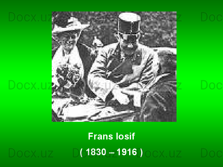 Frans Iosif
( 1830 – 1916 ) 