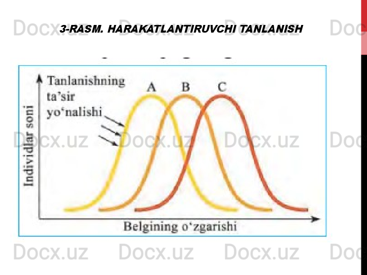 3-RASM. HARAKATLANTIRUVCHI TANLANISH
