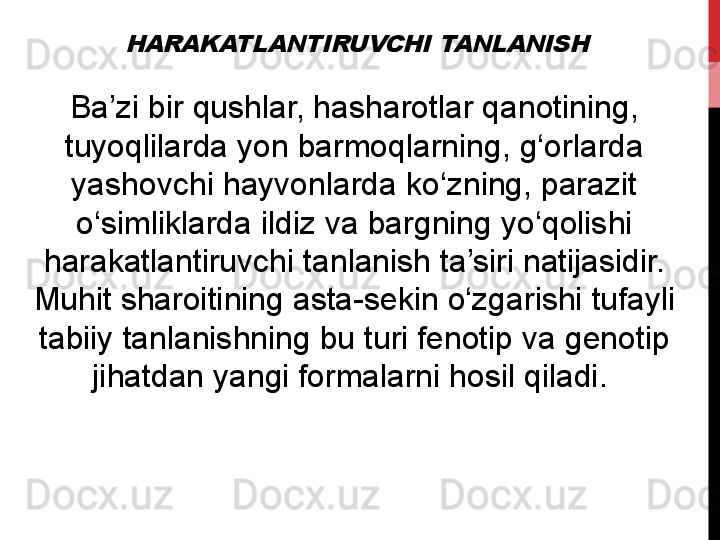 HARAKATLANTIRUVCHI TANLANISHBa’zi	
 bir	 qushlar,	 hasharotlar	 qanotining,	 
tuyoqlilarda	
 yon	 barmoqlarning,	 g‘orlarda	 
yashovchi	
 hayvonlarda	 ko‘zning,	 parazit	 
o‘simliklarda	
 ildiz	 va	 bargning	 yo‘qolishi	 
harakatlantiruvchi	
 tanlanish	 ta’siri	 natijasidir.	 
Muhit	
 sharoitining	 asta-sekin	 o‘zgarishi	 tufayli	 
tabiiy	
 tanlanishning	 bu	 turi	 fenotip	 va	 genotip	 
jihatdan	
 yangi	 formalarni	 hosil	 qiladi.	  