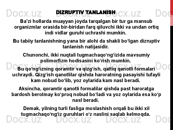 DIZRUPTIV TANLANISH
Ba’zi hollarda muayyan joyda tarqalgan bir tur ga mansub 
organizmlar orasida bir-biridan farq qiluvchi ikki va undan ortiq 
indi vidlar guruhi uchrashi mumkin. 
Bu tabiiy tanlanishning yana bir alohi da shakli bo‘lgan dizruptiv 
tanlanish natijasidir. 
Chunonchi, ikki nuqtali tugmachaqo‘ng‘izida mavsumiy 
polimorfizm hodisasini ko‘rish mumkin. 
Bu qo‘ng‘izning qoramtir va qizg‘ish, qattiq qanotli formalari 
uchraydi. Qizg‘ish qanotlilar qishda haroratning pasayishi tufayli 
kam nobud bo‘lib, yoz oylarida kam nasl beradi. 
Aksincha, qoramtir qanotli formalilar qishda past haroratga 
bardosh berolmay ko‘proq nobud bo‘ladi va yoz oylarida esa ko‘p 
nasl beradi. 
Demak, yilning turli fasliga moslashish orqali bu ikki xil 
tugmachaqo‘ng‘iz guruhlari o‘z naslini saqlab kelmoqda.  