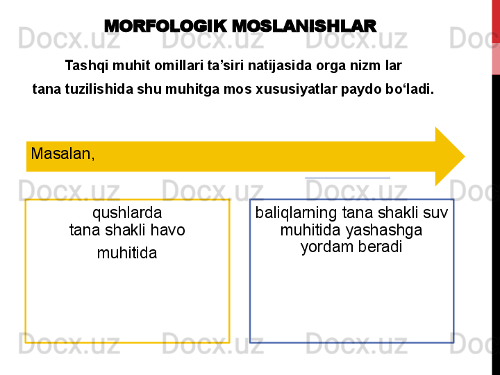 MORFOLOGIK MOSLANISHLAR
Tashqi muhit omillari ta’siri natijasida orga nizm lar
tana tuzilishida shu muhitga mos xususiyatlar paydo bo‘ladi.
Masalan,
qushlarda
tana shakli	 havo
muhitida baliqlarning	
 tana	 shakli	 suv	 
muhitida	
 yashashga	 
yordam	
 beradi 