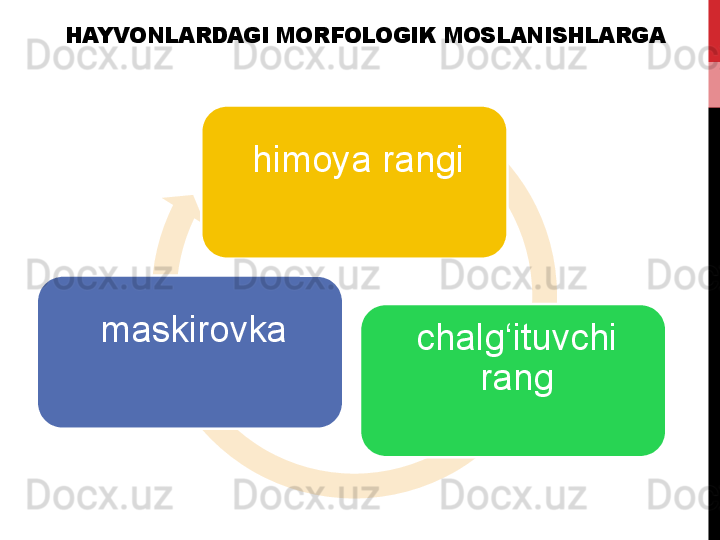 HAYVONLARDAGI MORFOLOGIK MOSLANISHLARGA
himoya 	rangi
chalg‘ituvchi	
 
rangmaskirovka 