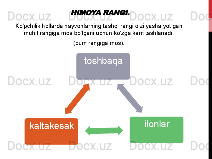 HIMOYA RANGI.Ko‘pchilik	
 hollarda	 hayvonlarning	 tashqi	 rangi	 o‘zi	 yasha	 yot	 gan	 
muhit	
 rangiga	 mos	 bo‘lgani	 uchun	 ko‘zga	 kam	 tashlanadi	 
(qum	
 rangiga	 mos).
toshbaqa
ilonlar
kaltakesak 