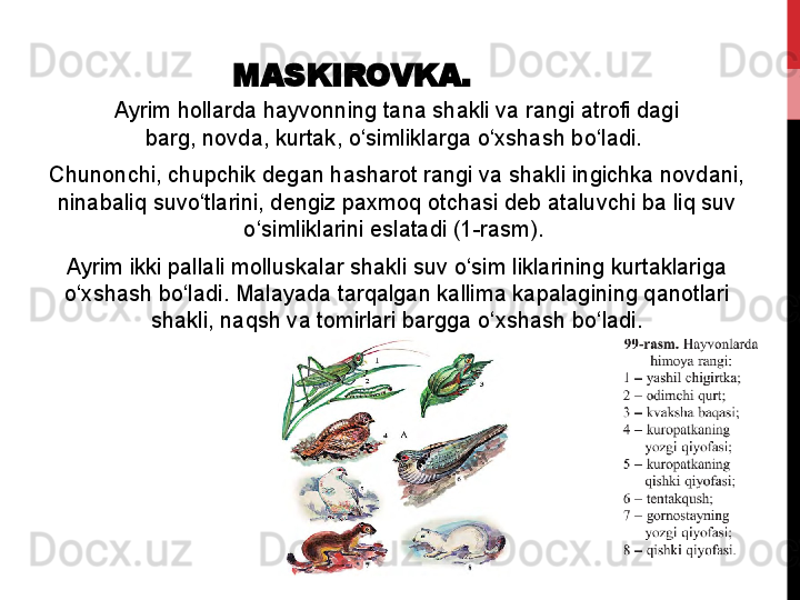 MASKIROVKA.
Ayrim hollarda	 hayvonning	 tana	 shakli	 va	 rangi	 atrofi	 dagi
barg,	
 novda,	 kurtak,	 o‘simliklarga	 o‘xshash	 bo‘ladi.	 
Chunonchi,	
 chupchik	 degan	 hasharot	 rangi	 va	 shakli	 ingichka	 novdani,	 
ninabaliq	
 suvo‘tlarini,	 dengiz	 paxmoq	 otchasi	 deb	 ataluvchi	 ba	 liq	 suv	 
o‘simliklarini	
 eslatadi	 (1-rasm).	 
Ayrim	
 ikki	 pallali	 molluskalar	 shakli	 suv	 o‘sim	 liklarining	 kurtaklariga	 
o‘xshash	
 bo‘ladi.	 Malayada	 tarqalgan	 kallima	 kapalagining	 qanotlari
shakli,	
 naqsh	 va	 tomirlari	 bargga	 o‘xshash	 bo‘ladi. 