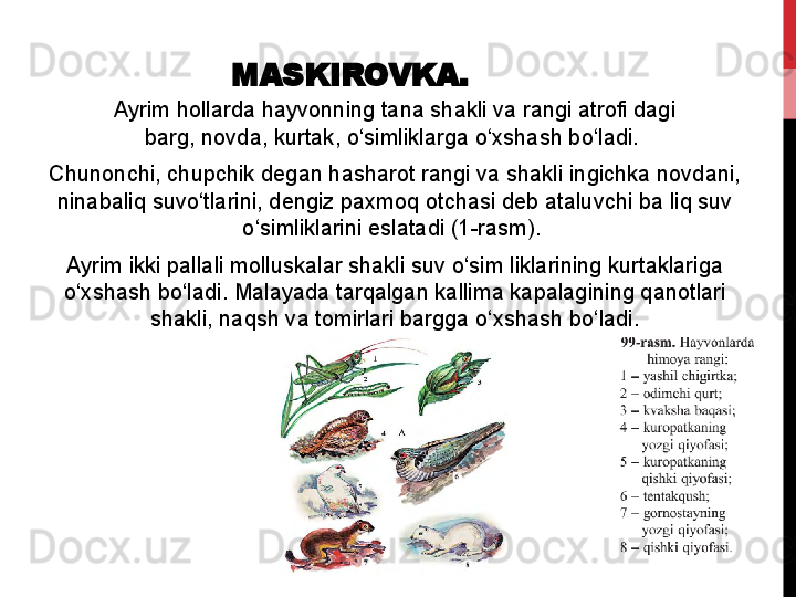 MASKIROVKA.
Ayrim hollarda	 hayvonning	 tana	 shakli	 va	 rangi	 atrofi	 dagi
barg,	
 novda,	 kurtak,	 o‘simliklarga	 o‘xshash	 bo‘ladi.	 
Chunonchi,	
 chupchik	 degan	 hasharot	 rangi	 va	 shakli	 ingichka	 novdani,	 
ninabaliq	
 suvo‘tlarini,	 dengiz	 paxmoq	 otchasi	 deb	 ataluvchi	 ba	 liq	 suv	 
o‘simliklarini	
 eslatadi	 (1-rasm).	 
Ayrim	
 ikki	 pallali	 molluskalar	 shakli	 suv	 o‘sim	 liklarining	 kurtaklariga	 
o‘xshash	
 bo‘ladi.	 Malayada	 tarqalgan	 kallima	 kapalagining	 qanotlari
shakli,	
 naqsh	 va	 tomirlari	 bargga	 o‘xshash	 bo‘ladi.