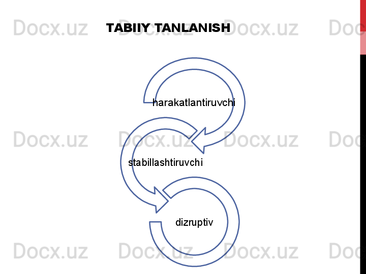 TABIIY TANLANISH
harakatlantiruvchi
stabillashtiruvchi
dizruptiv 