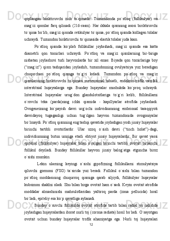 qoplangan   biriktiruvchi   zich   to`qimadir.   Tuxumdonda   po`stloq   (follikulyar)   va
mag`iz   qismlar   farq   qilinadi   (216-rasm).   Har   ikkala   qismning   asosi   biriktiruvchi
to`qima bo`lib, mag`iz qismda retikulyar to`qima, po`stloq qismda kollagen tolalar
uchraydi. Tuxumdon biriktiruvchi to`qimasida elastik tolalar juda kam. 
Po`stloq   qismda   ko`plab   follikullar   joylashadi,   mag`iz   qismda   esa   katta
diametrli   qon   tomirlari   uchraydi.   Po`stloq   va   mag`iz   qismlarning   bir-biriga
nisbatan   joylashuvi   turli   hayvonlarda   bir   xil   emas.   Biyada   qon   tomirlariga   boy
(“mag`iz”)   qism   tashqaridan   joylashib,   tuxumdonning   ovulyatsiya   yuz   beradigan
chuqurchasi   po`stloq   qismga   to`g`ri   keladi.   Tuxumdon   po`stloq   va   mag`iz
qismlarining   biriktiruvchi   to`qimasi   mezenximal   tabiatli,   endokrin-trofik   vazifali
interstitsial   hujayralarga   ega.   Bunday   hujayralar   mushukda   ko`proq   uchraydi.
Interstitsial   hujayralar   urug`don   glandulotsitlariga   to`g`ri   kelib,   follikullarni
o`rovchi   teka   (parda)ning   ichki   qismida   -   kapillyarlar   atrofida   joylashadi.
Ovogenezning   ko`payish   davri   urg`ochi   individiumning   embrional   taraqqiyoti
davridayoq   tugaganligi   uchun   tug`ilgan   hayvon   tuxumdonida   ovogoniyalar
bo`lmaydi. Po`stloq qismning eng tashqi qavatida joylashgan yosh jinsiy hujayralar
birinchi   tartibli   ovotsitlardir.   Ular   uzoq   o`sish   davri   (“tinch   holat”)-dagi,
individiumning   butun   umriga   etarli   ehtiyot   jinsiy   hujayralardir.   Bir   qavat   yassi
epitelial   (follikulyar)   hujayralar   bilan   o`ralgan   birinchi   tartibli   ovotsit   birlamchi
follikul   deyiladi.   Bunday   follikullar   hayvon   jinsiy   balog`atga   etguncha   biroz
o`sishi mumkin.
  Lekin   ularning   keyingi   o`sishi   gipofizning   follikullarni   stimulyatsiya
qiluvchi   gormoni   (FSG)   ta`sirida   yuz   beradi.   Follikul   o`sishi   bilan   tuxumdon
po`stloq   moddasining   chuqurroq   qismiga   qarab   siljiydi,   follikulyar   hujayralar
kubsimon shaklni oladi. Shu bilan birga ovotsit ham o`sadi. Keyin ovotsit atrofida
moddalar   almashinishi   mahsulotlaridan   yaltiroq   parda   (zona   pellucida)   hosil
bo`ladi, epiteliy esa ko`p qavatliga aylanadi. 
Bunday   o`suvchi   follikulda   ovotsit   atrofida   tartib   bilan   radial   yo`nalishda
joylashgan hujayralardan iborat nurli toj (corona radiata) hosil bo`ladi. O`sayotgan
ovotsit   uchun   bunday   hujayralar   trofik   ahamiyatga   ega.   Nurli   toj   hujayralari
12 