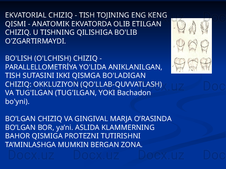 EKVATORIAL CHIZIQ - TISH TOJINING ENG KENG 
QISMI - ANATOMIK EKVATORDA OLIB ETILGAN 
CHIZIQ. U TISHNING QILISHIGA BO'LIB 
O'ZGARTIRMAYDI.
BO'LISH (O'LCHISH) CHIZIQ - 
PARALLELLOMETRİYA YO'LIDA ANIKLANILGAN, 
TISH SUTASINI IKKI QISMGA BO'LADIGAN 
CHIZIQ: OKKLUZIYON (QO'LLAB-QUVVATLASH) 
VA TUG'ILGAN (TUG'ILGAN, YOKI Bachadon 
bo'yni).
BO’LGAN CHIZIQ VA GINGIVAL MARJA O’RASINDA 
BO’LGAN BOR, ya’ni. ASLIDA KLAMMERNING 
BAHOR QISMIGA PROTEZNI TUTIRISHNI 
TA’MINLASHGA MUMKIN BERGAN ZONA. 