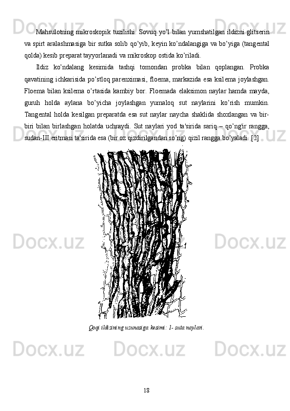 Mahsulotning mikroskopik tuzilishi. Sovuq yo’l  bilan yumshatilgan ildizni  glits е rin
va spirt aralashmasiga bir sutka solib qo’yib, k е yin ko’ndalangiga va bo’yiga (tang е ntal
qolda) k е sib pr е parat tayyorlanadi va mikroskop ostida ko’riladi. 
Ildiz   ko’ndalang   k е simida   tashqi   tomondan   probka   bilan   qoplangan.   Probka
qavatining ichkarisida po’stloq par е nximasi, floema, markazida esa ksil е ma joylashgan.
Floema  bilan   ksil е ma  o’rtasida   kambiy  bor.  Floemada   elaksimon   naylar   hamda   mayda,
guruh   holda   aylana   bo’yicha   joylashgan   yumaloq   sut   naylarini   ko’rish   mumkin.
Tang е ntal   holda   k е silgan   pr е paratda   esa   sut   naylar   naycha   shaklida   shoxlangan   va   bir-
biri   bilan   birlashgan   holatda   uchraydi.   Sut   naylari   yod   ta'sirida   sariq   –   qo’ng'ir   rangga,
sudan-III eritmasi ta'sirida esa (bir oz qizdirilgandan so’ng) qizil rangga bo’yaladi. [2]
Qoqi ildizining uzunasiga kesimi: 1- suta naylari.
18 