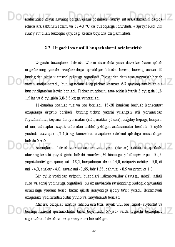 aralashtirib keyin suvning qolgan qismi qóshiladi. Sun'iy sut aralashmasi 5 daqiqa
ichida  aralashtirish  lozim  va  38-40  °C  da   buzoqlarga   ichiriladi.  «Spreyf  Red   15»
sun'iy sut bilan buzoqlar quyidagi sxema bóyicha oziqlantiriladi. 
2.3. Urg�ochi va nasilli buqachalarni oziqlantirish  
Ur	
g/ochi   buzoqlarni   óstirish.   Ularni   óstirishda   yosh   davridan   hazm   qilish
organlarning   yaxshi   rivojlanishiga   qaratilgan   bólishi   lozim,   buning   uchun   10
kunligidan pichan iste'mol qilishga órgatiladi. Pichandan damlama tayyorlab berish
yaxshi natija beradi,   buning uchun 1 kg pichan kesmasi 6-7 qaynoq suv bilan bir
kun ivitilgandan keyin beriladi. Pichan miqdorini asta-sekin kótarib 3 oyligida 1,3-
1,5 kg va 6 oyligida 3,0-3,5 kg ga yetkaziladi.
11-kundan   boshlab   tuz   va   bór   beriladi.   15-20   kunidan   boshlab   konsentrat
oziqalarga   órgatib   boriladi,   buning   uchun   yaxshi   yelangan   suli   yormasidan
foydalaniladi, keyinra don yormalari (suli, makka- jóxori), bu	
g/doy kepagi, kunjara,
ót   uni,   achitqilar,   suyak   unlaridan   tashkil   yetilgan   aralashmalar   beriladi.   3   oylik
yoshida   buzoqlar   1,2-1,6   kg   konsentrat   oziqalarni   iste'mol   qilishga   moslashgan
bólishi kerak.
Buzoqlarni   óstirishda   maxsus   omuxta   yem   (starter)   ishlab   chiqariladi,
ularning   tarkibi   quyidagicha   bólishi   mumkin,   %   hisobiga:   póstloqsiz   arpa   -   51,5,
yo	
g/sizlantirilgan quruq sut - 18,0, kungaboqar shroti 14,0, oziqaviy achitqi - 5,0, ót
uni - 4,0, shakar - 4,0, suyak uni -0,65, bór 1,35, osh tuzi - 0,5 va premiks 1,0.
Bir   oylik   yoshidan   ur	
g/ochi   buzoqlari   ildizmevalilar   (lavlagi,   sabzi),   sifatli
silos va senaj yedirishga órgatiladi, bu óz navbatida ratsionning biologik qiymatini
oshirishga   yordam   berib,   hazm   qilish   jarayoniga   ijobiy   ta'sir   yetadi.   Ildizmevali
oziqalarni yedirishdan oldin yuvib va moydalanib beriladi.
Mineral oziqalar sifatida ratsion osh tuzi, suyak uni, bór, trikal- siyfosfat va
boshqa   mineral   qóshimchalar   bilan   boyitiladi.   57-jad-   valda   ur	
g/ochi   buzoqlarni
sigir uchun óstirishda oziqa me'yorlari kórsatilgan.
20 