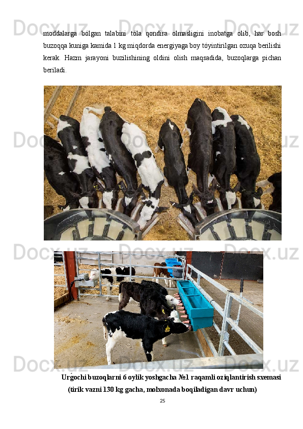 moddalarga   bólgan   talabini   tóla   qondira   olmasligini   inobatga   olib,   har   bosh
buzoqqa kuniga kamida 1 kg miqdorda energiyaga boy tóyintirilgan ozuqa berilishi
kerak.   Hazm   jarayoni   buzilishining   oldini   olish   maqsadida,   buzoqlarga   pichan
beriladi.
Urg�ochi buzoqlarni 6 oylik yoshgacha №1 raqamli oziqlantirish sxemasi
(tirik vazni 130 kg gacha, molxonada boqiladigan davr uchun)
25 
