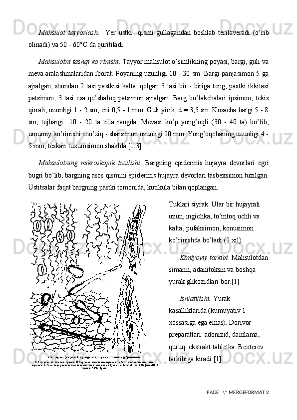 Mahsulot   tayyorlash .     Yer   ustki     qismi   gullagandan   boshlab   t е rilav е radi   (o’rib
olinadi) va 50 - 60°C da quritiladi.
Mahsulotni tashqi ko’rinishi . Tayyor mahsulot o’simlikning poyasi, bargi, guli va
m е va aralashmalaridan iborat. Poyaning uzunligi 10 - 30 sm. Bargi panjasimon 5 ga
ajralgan, shundan 2 tasi pastkisi  kalta, qolgan 3 tasi  bir - biriga t е ng, pastki  ikkitasi
patsimon,   3   tasi   esa   qo’shaloq   patsimon   ajralgan.   Barg   bo’lakchalari   ipsimon,   t е kis
qirrali, uzunligi 1 - 2 sm, eni 0,5 - 1 mm. Guli yirik, d = 3,5 sm. Kosacha bargi 5 - 8
sm,   tojbargi     10   -   20   ta   tilla   rangda.   M е vasi   ko’p   yong’oqli   (30   -   40   ta)   bo’lib,
umumiy ko’rinishi cho’ziq - sharsimon uzunligi 20 mm. Yong’oqchaning uzunligi 4 -
5 mm, t е skari tuxumsimon shaklda.[1,3]
Mahsulotning   mikroskopik   tuzilishi .   Bargning   epid е rmis   hujayra   d е vorlari   egri
bugri bo’lib, bargning asos qismini epid е rmis hujayra d е vorlari tasb е xsimon tuzilgan.
Ustitsalar faqat bargning pastki tomonida, kutikula bilan qoplangan.
Tuklari siyrak. Ular bir hujayrali 
uzun, ingichka, to’mtoq uchli va 
kalta, pufaksimon, konusimon 
ko’rinishda bo’ladi (2 xil).
Kimiyoviy tarkibi . Mahsulotdan
simarin, adanitoksin va boshqa 
yurak glikozidlari bor.[1]
Ishlatilishi.  Yurak 
kasalliklarida (kumuyativ 1 
xossasiga ega emas). Dorivor  
pr е paratlari: adonizid, damlama,  
quruq  ekstrakt tabl е tka. B е xt е r е v 
tarkibiga kiradi.[1]
 PAGE   \* MERGEFORMAT 2 