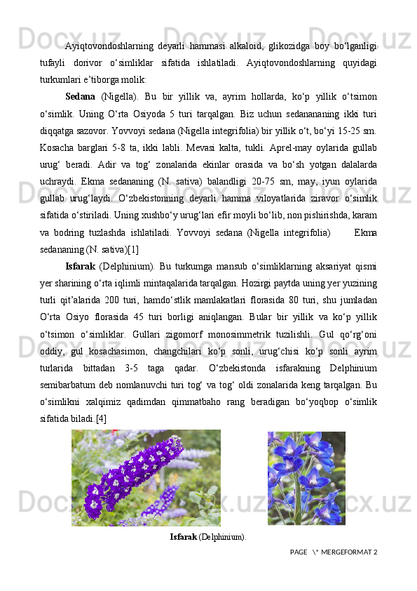 Ayiqtovondoshlarning   deyarli   hammasi   alkaloid,   glikozidga   boy   bo‘lganligi
tufayli   dorivor   o‘simliklar   sifatida   ishlatiladi.   Ayiqtovondoshlarning   quyidagi
turkumlari e’tiborga molik:
Sedana   (Nigella).   Bu   bir   yillik   va,   ayrim   hollarda,   ko‘p   yillik   o‘tsimon
o‘simlik.   Uning   O‘rta   Osiyoda   5   turi   tarqalgan.   Biz   uchun   sedanananing   ikki   turi
diqqatga sazovor. Yovvoyi sedana (Nigella integrifolia) bir yillik o‘t, bo‘yi 15-25 sm.
Kosacha   barglari   5-8   ta,   ikki   labli.   Mevasi   kalta,   tukli.   Aprel-may   oylarida   gullab
urug‘   beradi.   Adir   va   tog‘   zonalarida   ekinlar   orasida   va   bo‘sh   yotgan   dalalarda
uchraydi.   Ekma   sedananing   (N.   sativa)   balandligi   20-75   sm,   may,   iyun   oylarida
gullab   urug‘laydi.   O‘zbekistonning   deyarli   hamma   viloyatlarida   ziravor   o‘simlik
sifatida o‘stiriladi. Uning xushbo‘y urug‘lari efir moyli bo‘lib, non pishirishda, karam
va   bodring   tuzlashda   ishlatiladi.   Yovvoyi   sedana   (Nigella   integrifolia)           Ekma
sedananing (N. sativa) [1]
Isfarak   (Delphinium).   Bu   turkumga   mansub   o‘simliklarning   aksariyat   qismi
yer sharining o‘rta iqlimli mintaqalarida tarqalgan. Hozirgi paytda uning yer yuzining
turli   qit’alarida   200   turi,   hamdo‘stlik   mamlakatlari   florasida   80   turi,   shu   jumladan
O‘rta   Osiyo   florasida   45   turi   borligi   aniqlangan.   Bular   bir   yillik   va   ko‘p   yillik
o‘tsimon   o‘simliklar.   Gullari   zigomorf   monosimmetrik   tuzilishli.   Gul   qo‘rg‘oni
oddiy,   gul   kosachasimon,   changchilari   ko‘p   sonli,   urug‘chisi   ko‘p   sonli   ayrim
turlarida   bittadan   3-5   taga   qadar.   O‘zbekistonda   isfarakning   Delphinium
semibarbatum deb nomlanuvchi turi tog‘ va tog‘ oldi zonalarida keng tarqalgan. Bu
o‘simlikni   xalqimiz   qadimdan   qimmatbaho   rang   beradigan   bo‘yoqbop   o‘simlik
sifatida biladi.[4]
                   
Isfarak  (Delphinium).
 PAGE   \* MERGEFORMAT 2 