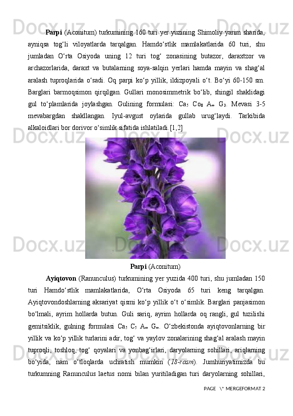 Parpi   (Aconitum)   turkumining 160 turi yer yuzining Shimoliy yarim sharida,
ayniqsa   tog‘li   viloyatlarda   tarqalgan.   Hamdo‘stlik   mamlakatlarida   60   turi,   shu
jumladan   O‘rta   Osiyoda   uning   12   turi   tog‘   zonasining   butazor,   daraxtzor   va
archazorlarida,   daraxt   va   butalarning   soya-salqin   yerlari   hamda   mayin   va   shag‘al
aralash   tuproqlarida   o‘sadi.   Oq   parpi   ko‘p   yillik,   ildizpoyali   o‘t.   Bo‘yi   60-150   sm.
Barglari   barmoqsimon   qirqilgan.   Gullari   monosimmetrik   bo‘lib,   shingil   shaklidagi
gul   to‘plamlarida   joylashgan.   Gulining   formulasi:   Ca
5   Co
8   A
∞   G
3 .   Mevasi   3-5
mevabargdan   shakllangan.   Iyul-avgust   oylarida   gullab   urug‘laydi.   Tarkibida
alkaloidlari bor dorivor o‘simlik sifatida ishlatiladi. [1,2]
Parpi  (Aconitum)
Ayiqtovon   (Ranunculus)   turkumining   yer   yuzida   400   turi,   shu   jumladan   150
turi   Hamdo‘stlik   mamlakatlarida,   O‘rta   Osiyoda   65   turi   keng   tarqalgan.
Ayiqtovondoshlarning   aksariyat   qismi   ko‘p   yillik   o‘t   o‘simlik.   Barglari   panjasimon
bo‘lmali,   ayrim   hollarda   butun.   Guli   sariq,   ayrim   hollarda   oq   rangli,   gul   tuzilishi
gemitsiklik,   gulning   formulasi   Ca
5   C
5   A
∞   G
∞ .   O‘zbekistonda   ayiqtovonlarning   bir
yillik va ko‘p yillik turlarini adir, tog‘ va yaylov zonalarining shag‘al aralash mayin
tuproqli,   toshloq,   tog‘   qoyalari   va   yonbag‘irlari,   daryolarning   sohillari,   ariqlarning
bo‘yida,   nam   o‘tloqlarda   uchratish   mumkin   ( 18-rasm ).   Jumhuriyatimizda   bu
turkumning   Ranunculus   laetus   nomi   bilan   yuritiladigan   turi   daryolarning   sohillari,
 PAGE   \* MERGEFORMAT 2 