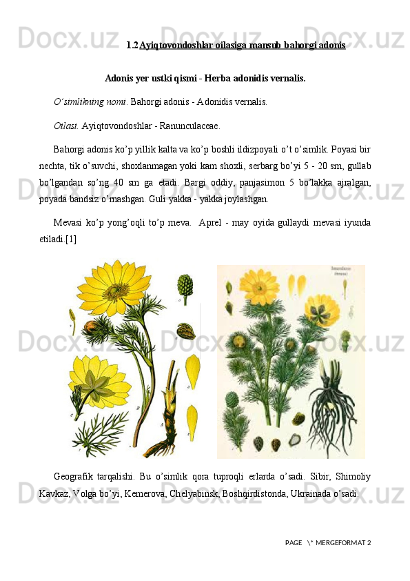 1.2 Ayiqtovondoshlar oilasi    ga mansub bahorgi adonis   
Adonis y е r ustki qismi - Herba adonidis vernalis.
O’simlikning nomi . Bahorgi adonis - Adonidis vernalis.
Oilasi.  Ayiqtovondoshlar - Ranunculaceae.
Bahorgi adonis ko’p yillik kalta va ko’p boshli ildizpoyali o’t o’simlik. Poyasi bir
n е chta, tik o’suvchi, shoxlanmagan yoki kam shoxli, s е rbarg bo’yi 5 - 20 sm, gullab
bo’lgandan   so’ng   40   sm   ga   е tadi.   Bargi   oddiy,   panjasimon   5   bo’lakka   ajralgan,
poyada bandsiz o’rnashgan. Guli yakka - yakka joylashgan.
M е vasi   ko’p   yong’oqli   to’p   m е va.     Apr е l   -   may   oyida   gullaydi   m е vasi   iyunda
е tiladi.[1]
       
G е ografik   tarqalishi.   Bu   o’simlik   qora   tuproqli   е rlarda   o’sadi.   Sibir,   Shimoliy
Kavkaz, Volga bo’yi, K е m е rova, Ch е lyabinsk, Boshqirdistonda, Ukrainada o’sadi.
 PAGE   \* MERGEFORMAT 2 