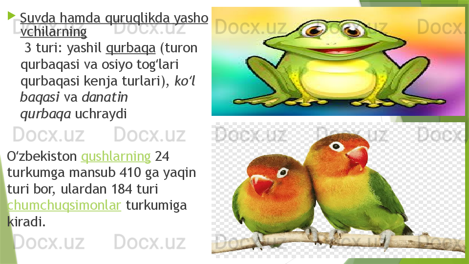 
Suvda hamda quruqlikda yasho
vchilarning
 3 turi: yashil  qurbaqa  (turon 
qurbaqasi va osiyo tog lari ʻ
qurbaqasi kenja turlari),  ko l 	
ʻ
baqasi  va  danatin 
qurbaqa  uchraydi
O zbekiston 	
ʻ qushlarning  24 
turkumga mansub 410 ga yaqin 
turi bor, ulardan 184 turi 
chumchuqsimonlar  turkumiga 
kiradi.                 