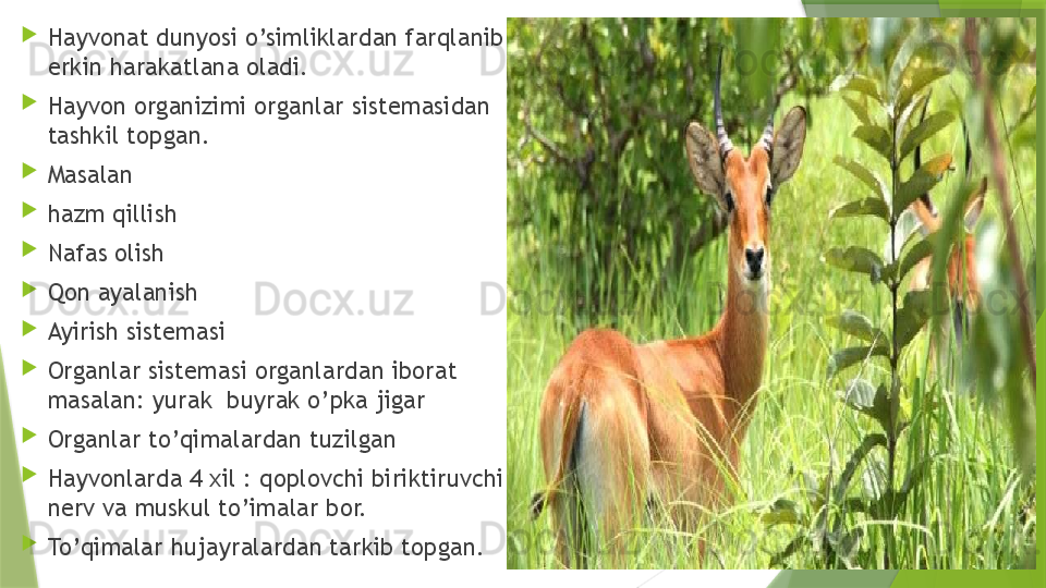 
Hayvonat dunyosi o’simliklardan farqlanib 
erkin harakatlana oladi. 

Hayvon organizimi organlar sistemasidan 
tashkil topgan.

Masalan 

hazm qillish 

Nafas olish 

Qon ayalanish 

Ayirish sistemasi

Organlar sistemasi organlardan iborat  
masalan: yurak  buyrak o’pka jigar 

Organlar to’qimalardan tuzilgan 

Hayvonlarda 4 xil : qoplovchi biriktiruvchi 
nerv va muskul to’imalar bor.

To’qimalar hujayralardan tarkib topgan.                 