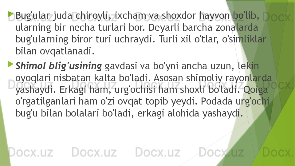 
Bug'ular juda chiroyli, ixcham va shoxdor hayvon bo'lib, 
ularning bir necha turlari bor. Deyarli barcha zonalarda 
bug'ularning biror turi uchraydi. Turli xil o'tlar, o'simliklar 
bilan ovqatlanadi.

Shimol blig'usining  gavdasi va bo'yni ancha uzun, lekin 
oyoqlari nisbatan kalta bo'ladi. Asosan shimoliy rayonlarda 
yashaydi. Erkagi ham, urg'ochisi ham shoxli bo'ladi. Qoiga 
o'rgatilganlari ham o'zi ovqat topib yeydi. Podada urg'ochi 
bug'u bilan bolalari bo'ladi, erkagi alohida yashaydi.                 