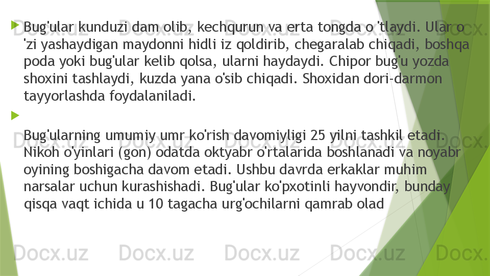 
Bug'ular kunduzi dam olib, kechqurun va erta tongda o 'tlaydi. Ular o 
'zi yashaydigan maydonni hidli iz qoldirib, chegaralab chiqadi, boshqa 
poda yoki bug'ular kelib qolsa, ularni haydaydi. Chipor bug'u yozda 
shoxini tashlaydi, kuzda yana o'sib chiqadi. Shoxidan dori-darmon 
tayyorlashda foydalaniladi.

Bug'ularning umumiy umr ko'rish davomiyligi 25 yilni tashkil etadi. 
Nikoh o'yinlari (gon) odatda oktyabr o'rtalarida boshlanadi va noyabr 
oyining boshigacha davom etadi. Ushbu davrda erkaklar muhim 
narsalar uchun kurashishadi. Bug'ular ko'pxotinli hayvondir, bunday 
qisqa vaqt ichida u 10 tagacha urg'ochilarni qamrab olad                 