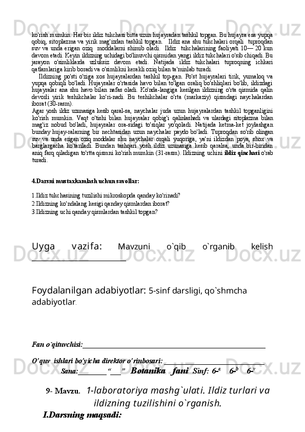 ko'rish mumkin. Har bir ildiz tukchasi bitta uzun hujayradan tashkil topgan. Bu hujayra esa yupqa
qobiq, sitoplazma va yirik mag'izdan tashkil topgan.     Ildiz ana shu tukchalari orqali   tuproqdan
suv   va   unda  erigan   oziq     moddalarni   shimib   oladi.     Ildiz     tukchalarining   faoliyati  10—   20  kun
davom etadi. Keyin  ildizning uchidagi bo'linuvchi  qismidan yangi ildiz tukchalari o'sib chiqadi. Bu
jarayon   o'simliklarda   uzluksiz   davom   etadi.   Natijada   ildiz   tukchalari   tuproqning   ichkari
qatlamlariga kirib boradi va o'simlikni kerakli oziq bilan ta'minlab turadi.
Ildizning   po'sti   o'ziga   xos   hujayralardan   tashkil   top-gan.   Po'st   hujayralari   tirik,   yumaloq   va
yupqa  qobiqli  bo'ladi.   Hujayralar   o'rtasida  havo  bilan  to'lgan   oraliq   bo'shliqlari  bo'lib,   ildizdagi
hujayralar   ana   shu   havo   bilan   nafas   oladi.   Ko'nda-langiga   kesilgan   ildizning   o'rta   qismida   qalin
devorli   yirik   teshikchalar   ko'ri-nadi.   Bu   teshikchalar   o'rta   (markaziy)   qismdagi   naychalardan
iborat (30-rasm).
Agar  yosh ildiz  uzunasiga  kesib  qaral- sa,   naychalar   juda   uzun   hujayralardan   tashkil   topganligini
ko'rish   mumkin.   Vaqt   o'tishi   bilan   hujayralar   qobig'i   qalinlashadi   va   ulardagi   sitoplazma   bilan
mag'iz   nobud   bo'ladi,   hujayralar   ora-sidagi   to'siqlar   yo'qoladi.   Natijada   ketma-ket   joylashgan
bunday   hujay-ralarning   bir   nechtasidan   uzun   nay chalar   paydo   bo'ladi.   Tuproqdan   so'rib   olingan
suv   va   unda   erigan   oziq   moddalar   shu   naychalar   orqali   yuqoriga,   ya'ni   ildizdan   poya,   shox   va
barglargacha   ko'tariladi.   Bundan   tashqari   yosh   ildiz   uzunasiga   kesib   qaralsa,   unda   bir-biridan
aniq farq qiladigan to'rtta qismni ko'rish mumkin (31-rasm). Ildizning uchini  ildiz qinchasi  o'rab
turadi.
4.Darsni mustaxkamlash uchun savollar:
1.Ildiz tukchasining tuzilishi mikroskopda qanday ko'rinadi?
2.Ildizning ko'ndalang kesigi qanday qismlardan iborat?
3.Ildizning uchi qanday qismlardan tashkil topgan?
Uy ga   v azifa:   Mavzuni   o`qib   o`rganib   kelish
_______________________
Foydalanilgan adabiyotlar:   5-sinf darsligi, qo`shmcha 
adabiyotlar .
Fan o`qituvchisi:___________________________________________________
O’quv  ishlari bo’yicha direktor o’rinbosari:  ____________________________ 
          Sana:________“___”    Botanika   fani   Sinf: 6- a       
6- b       
6- v
9- Mavzu .     1-laborat oriya mashg`ulat i. I ldiz t urlari va
ildizning t uzilishini o`rganish.
I.Darsning maqsadi: 