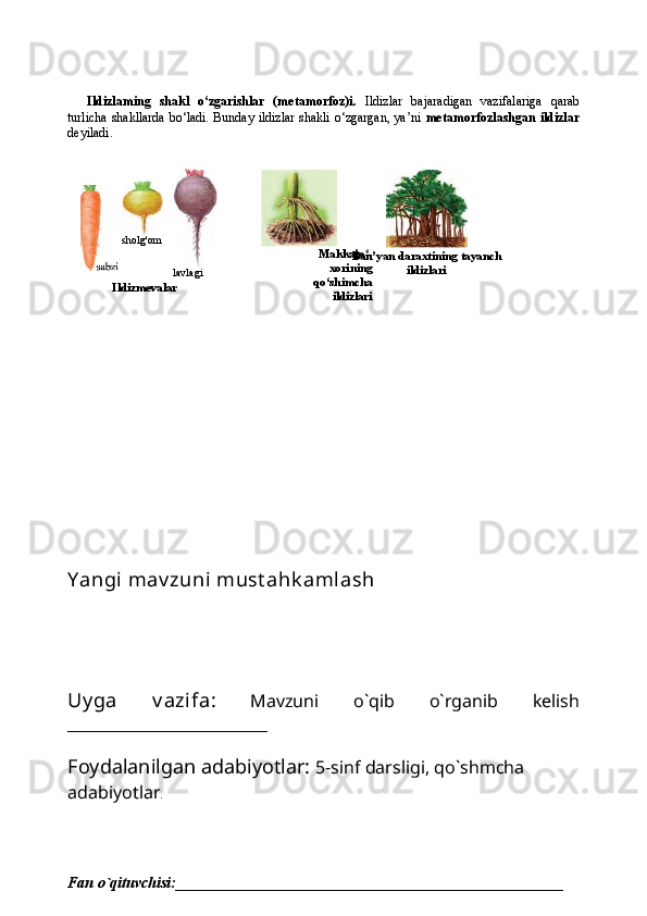 sholg'om
lavlagi Makkajo 4
-
xorining
qo‘shimcha
ildizlari Ban’yan daraxtining tayanch
ildizlari
IldizmevalarIldizlaming   shakl   o‘zgarishlar   (metamorfoz)i.   Ildizlar   bajaradigan   vazifalariga   qarab
turlicha shakllarda bo‘ladi. Bunday ildizlar shakli o‘zgargan, ya’ni   metamorfozlashgan ildizlar
deyiladi.
Y angi mav zuni  must ahk amlash
Uy ga   v azifa:   Mavzuni   o`qib   o`rganib   kelish
_______________________
Foydalanilgan adabiyotlar:   5-sinf darsligi, qo`shmcha 
adabiyotlar .
Fan o`qituvchisi:___________________________________________________ 