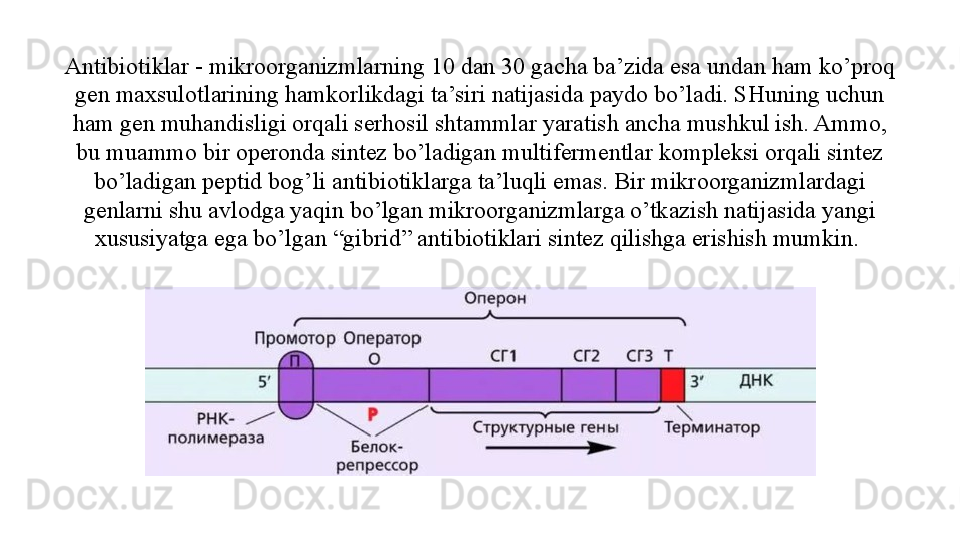 Antibiotiklar - mikroorganizmlarning 10 dan 30 gacha ba’zida esa undan ham ko’proq 
gen maxsulotlarining hamkorlikdagi ta’siri natijasida paydo bo’ladi. SHuning uchun 
ham gen muhandisligi orqali serhosil shtammlar yaratish ancha mushkul ish. Ammo, 
bu muammo bir operonda sintez bo’ladigan multifermentlar kompleksi orqali sintez 
bo’ladigan peptid bog’li antibiotiklarga ta’luqli emas. Bir mikroorganizmlardagi 
genlarni shu avlodga yaqin bo’lgan mikroorganizmlarga o’tkazish natijasida yangi 
xususiyatga ega bo’lgan “gibrid” antibiotiklari sintez qilishga erishish mumkin.  