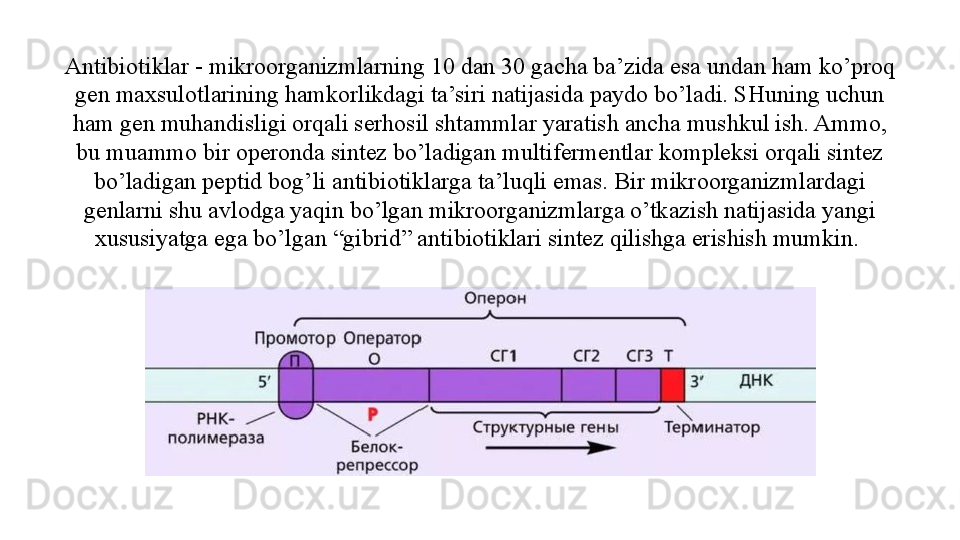 Antibiotiklar - mikroorganizmlarning 10 dan 30 gacha ba’zida esa undan ham ko’proq 
gen maxsulotlarining hamkorlikdagi ta’siri natijasida paydo bo’ladi. SHuning uchun 
ham gen muhandisligi orqali serhosil shtammlar yaratish ancha mushkul ish. Ammo, 
bu muammo bir operonda sintez bo’ladigan multifermentlar kompleksi orqali sintez 
bo’ladigan peptid bog’li antibiotiklarga ta’luqli emas. Bir mikroorganizmlardagi 
genlarni shu avlodga yaqin bo’lgan mikroorganizmlarga o’tkazish natijasida yangi 
xususiyatga ega bo’lgan “gibrid” antibiotiklari sintez qilishga erishish mumkin.