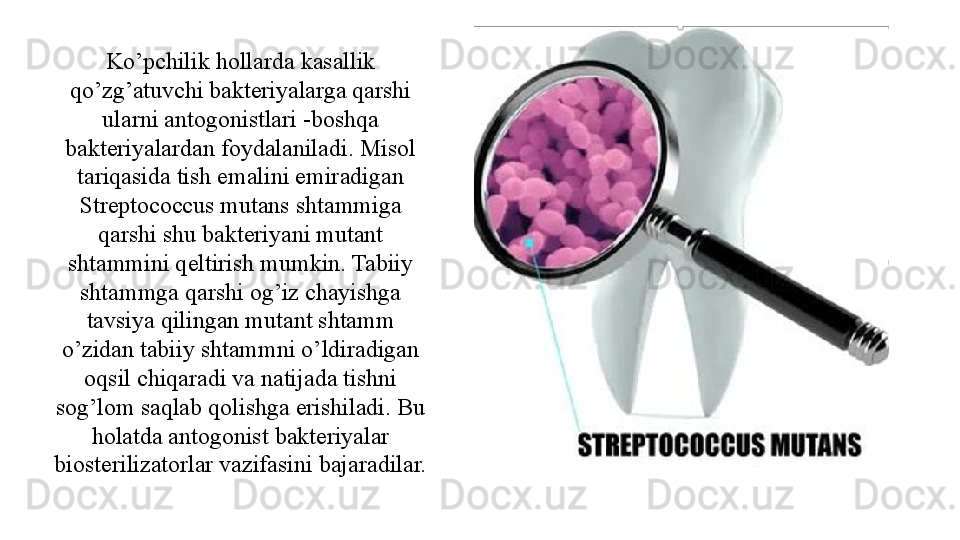 Ko’pchilik hollarda kasallik 
qo’zg’atuvchi bakteriyalarga qarshi 
ularni antogonistlari -boshqa 
bakteriyalardan foydalaniladi. Misol 
tariqasida tish emalini emiradigan 
Streptococcus mutans shtammiga 
qarshi shu bakteriyani mutant 
shtammini qeltirish mumkin. Tabiiy 
shtammga qarshi og’iz chayishga 
tavsiya qilingan mutant shtamm 
o’zidan tabiiy shtammni o’ldiradigan 
oqsil chiqaradi va natijada tishni 
sog’lom saqlab qolishga erishiladi. Bu 
holatda antogonist bakteriyalar 
biosterilizatorlar vazifasini bajaradilar. 